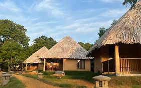 Saffron Lake Yala